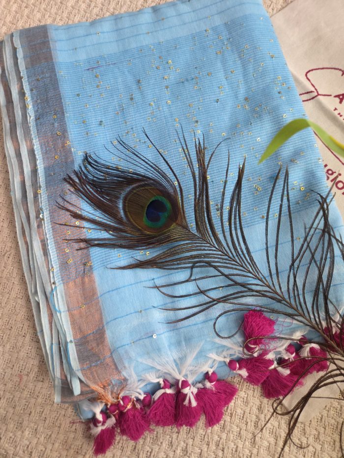 Sky blue mul cotton saree with Sequence Detailing